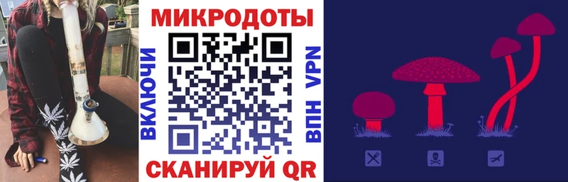 Галлюциногенные грибы Psilocybine cubensis  Купить  Салаир 